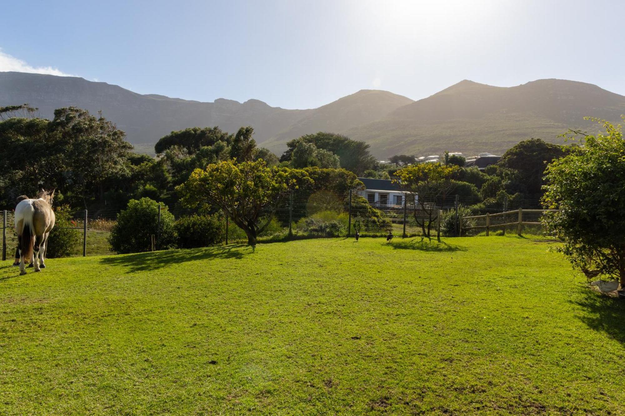 Serene, Thatched Apartment In Noordhoek, Cidade Do Cabo Exterior foto