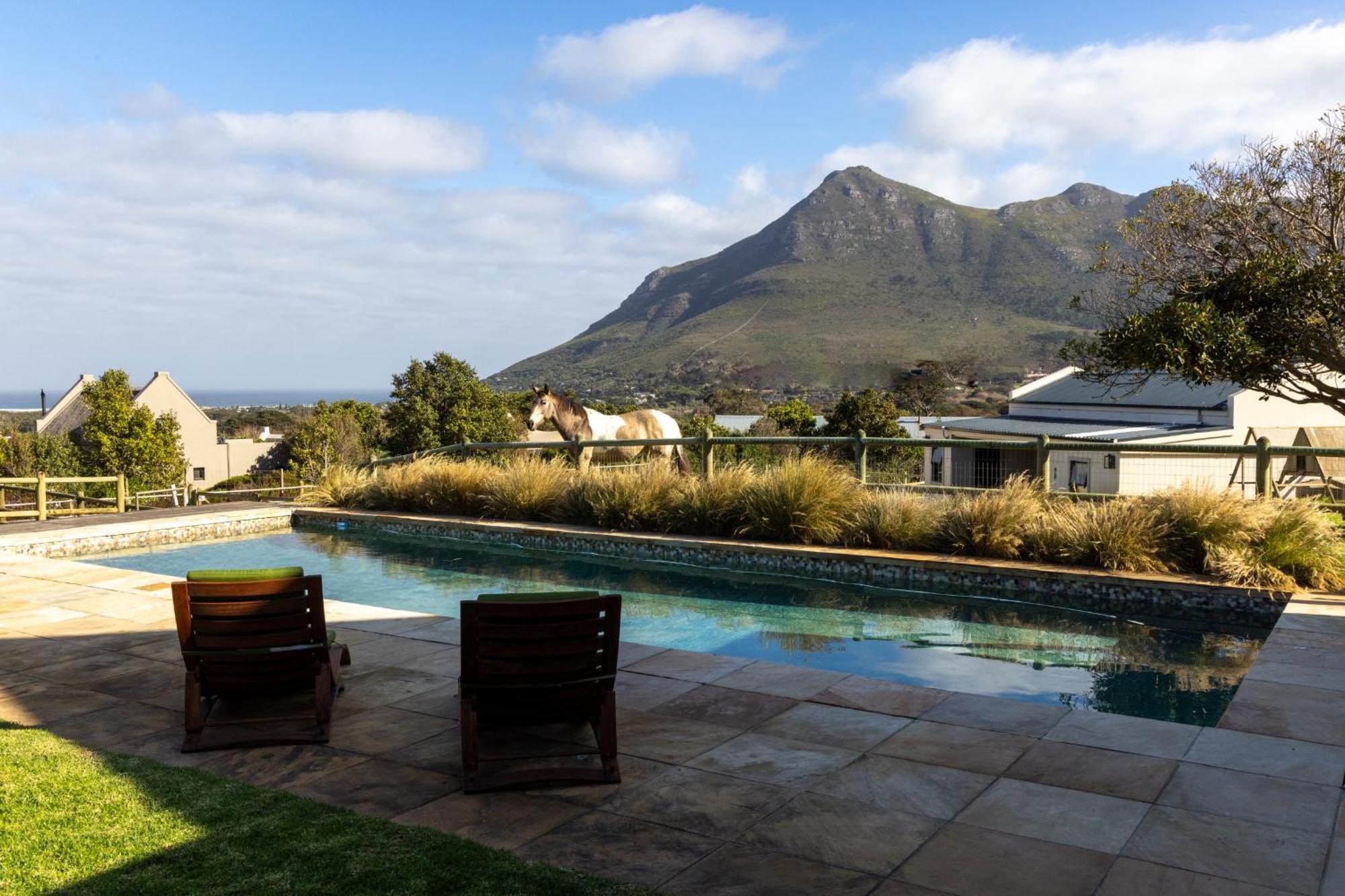 Serene, Thatched Apartment In Noordhoek, Cidade Do Cabo Exterior foto